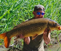 Daves-Carp