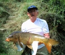 Dads Carp