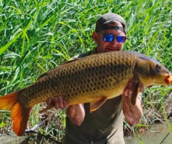 Daves-Carp